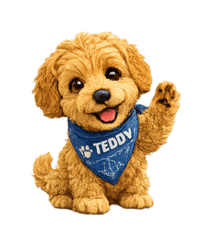Teddy encouraging you to start exploring